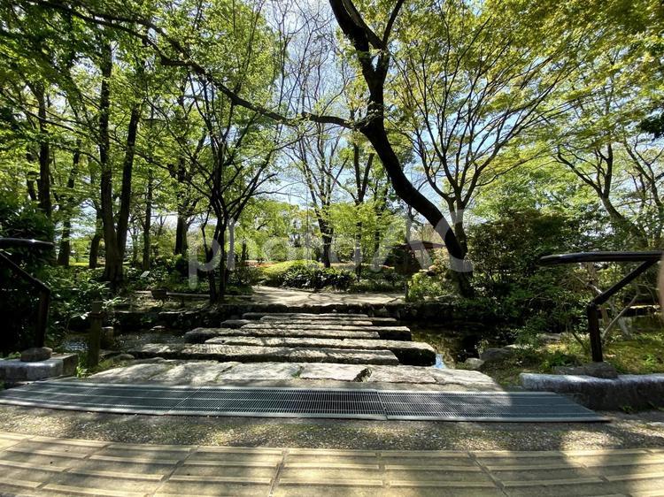 公園の木陰 自然,風景,景色の写真素材