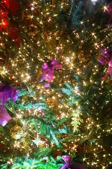 夜のクリスマスツリー イルミネーション,ライトアップ,クリスマスの写真素材