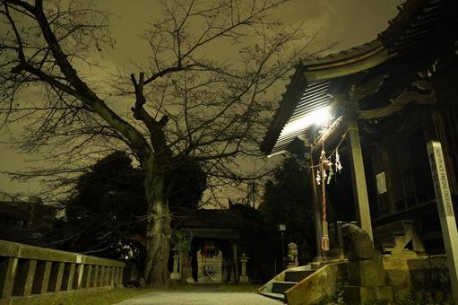 深夜の横浜市保土ヶ谷区、R1沿いの杉山社 神社仏閣,神社,商売繁盛の写真素材