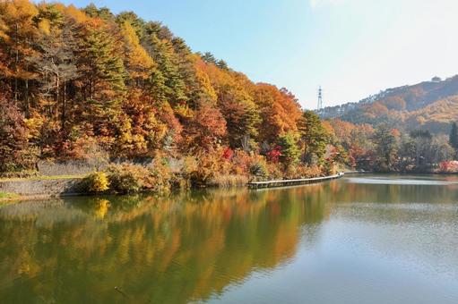 紅葉　長野県　聖湖 紅葉,湖,長野県の写真素材