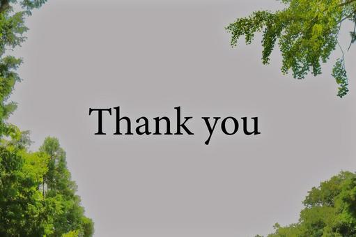 Thank you ありがとう 木 緑 Thank you ありがとう 木 緑 thankyou,thank,youの写真素材