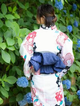 32:紫陽花と浴衣の女性 32:紫陽花と浴衣の女性 紫陽花,あじさい,浴衣の写真素材