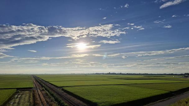 夏空と田園風景 夏空,田園風景,水田の写真素材