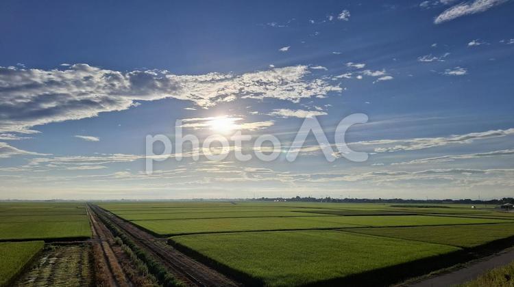 夏空と田園風景 夏空,田園風景,水田の写真素材