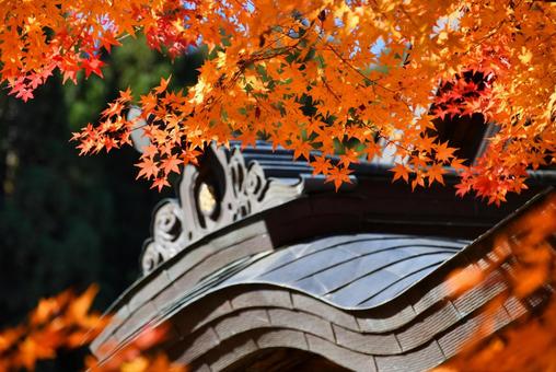赤く染まる山寺の風景の写真