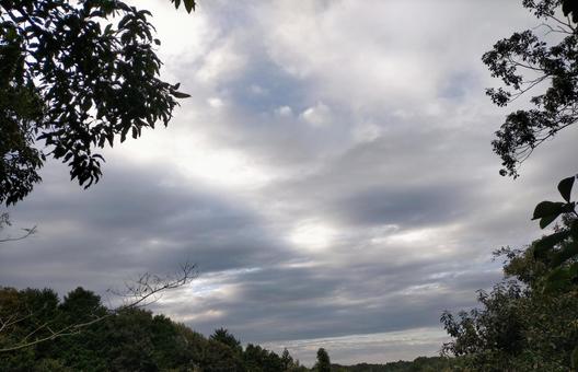 秋ですね～ 空,景色,わんこの写真素材