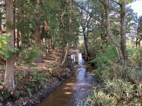 遠野のカッパ淵風景（秋） カッパ淵,カッパ,遠野の写真素材