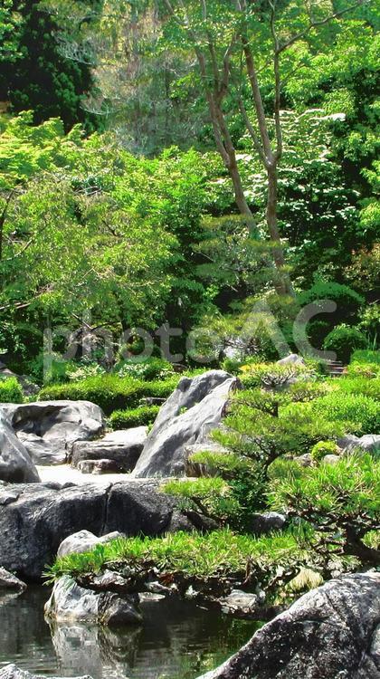 奈良県-當麻寺-奥院-浄土庭園 當麻寺,寺,奥院の写真素材