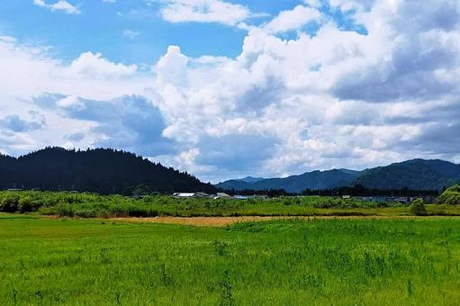 2025年7月の里山23 2025年7月の里山23の写真