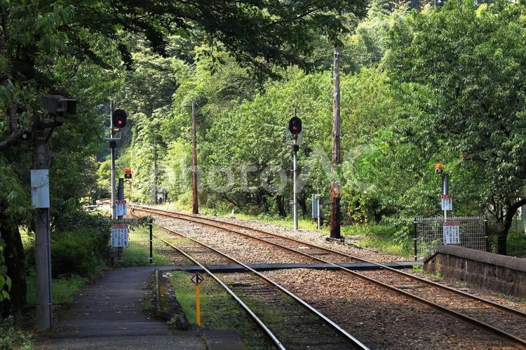 わたらせ渓谷鐡道　神戸駅構内風景 駅,ローカル線,ローカルの写真素材
