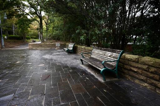 市民公園のベンチ 緑地公園,雨,天気の写真素材