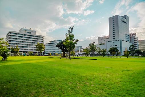 【福井】福井市中央公園 【福井】福井市中央公園 福井,fukui,福井市中央公園の写真素材