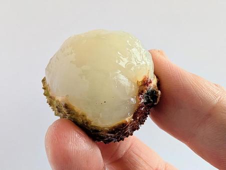 生ライチを持つ2 生ライチを持つ2 ライチ,茘枝,フルーツの写真素材