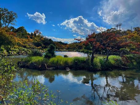 紅葉し始めた横浜こども自然公園 横浜,紅葉,こども自然公園の写真素材