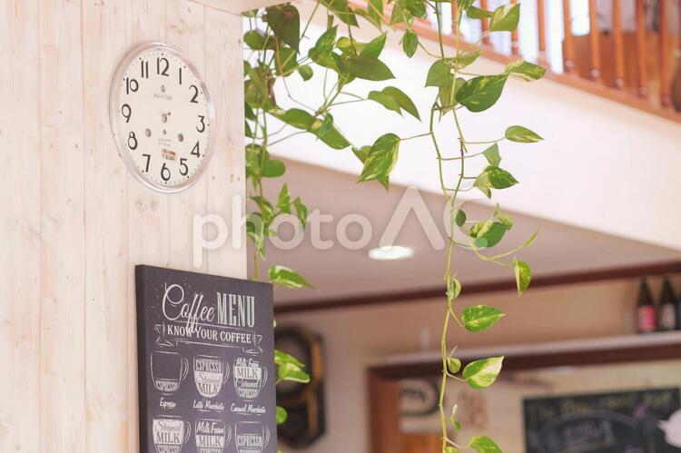 カフェ 喫茶店,メニュー,観葉植物の写真素材