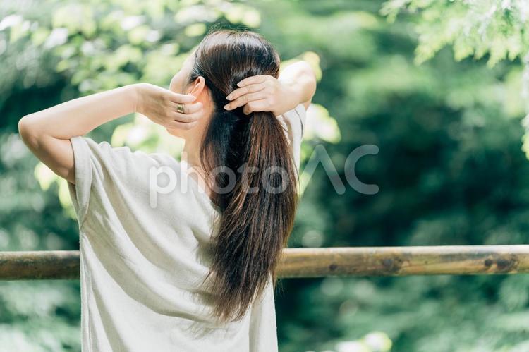 森の中にいる綺麗な髪の女性（まとめる） 髪の毛,ケアヘア,まとめ髪の写真素材