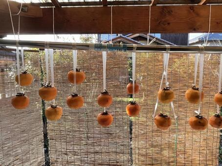 干し柿 干し柿,柿,渋柿の写真素材