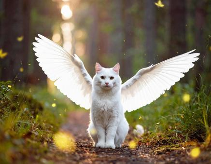 羽根が生えた猫 羽根が生えた猫の写真