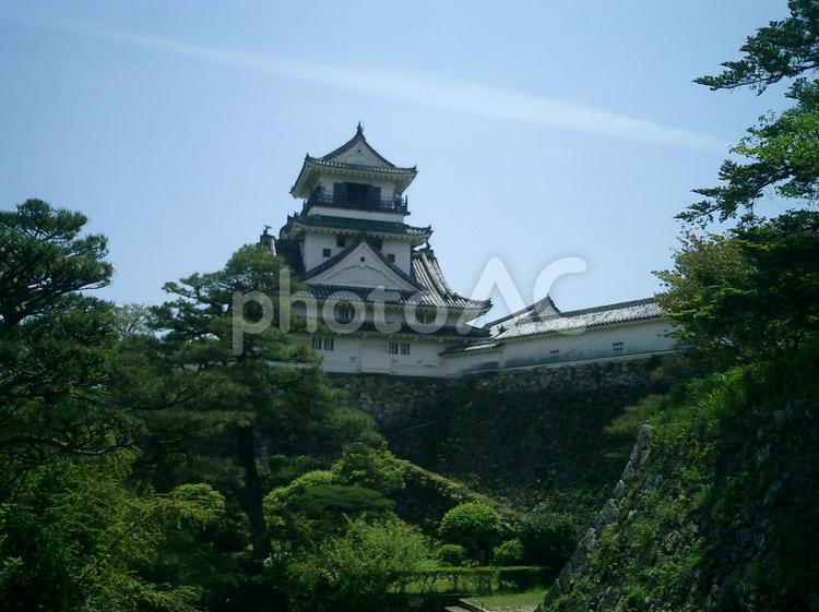 高知城天守閣と天守西北矢狭間塀 高知城,高知の写真素材
