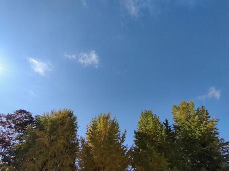 青空 青空の写真
