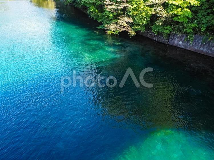 エメラルドグリーンの支笏湖 No 写真素材なら 写真ac 無料 フリー ダウンロードok