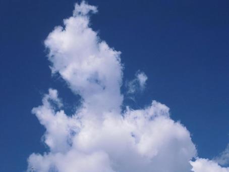 夏の空 夏の空の写真