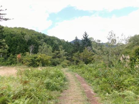 長野の田舎道 長野の田舎道 山,空,緑の写真素材