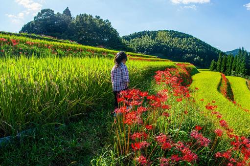 Children walking through rice terraces, JPG