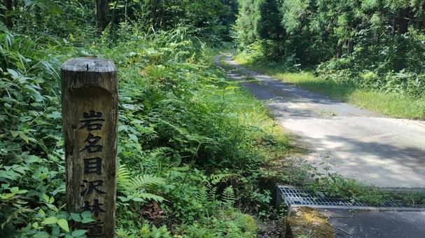 林道 林道の写真