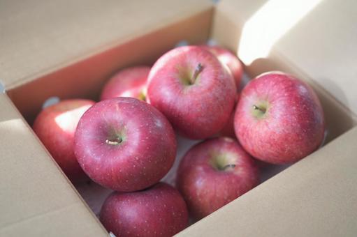 段ボール箱に入った赤リンゴ（たくさん） リンゴ,たくさん,箱詰めの写真素材