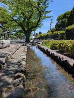 小川の流れ 小川の流れ 小川,水,木の写真素材