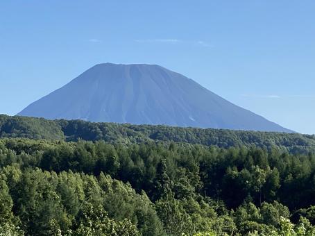 森と羊蹄山 森と羊蹄山 北海道,山,羊蹄山の写真素材