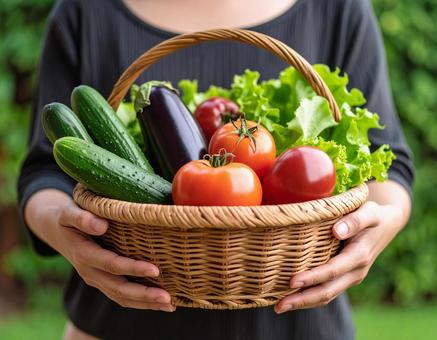 夏野菜のかごを持った女性の写真