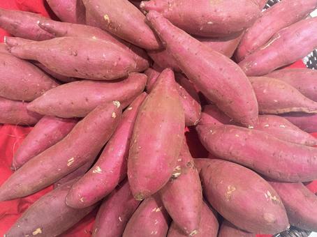 さつま芋の写真