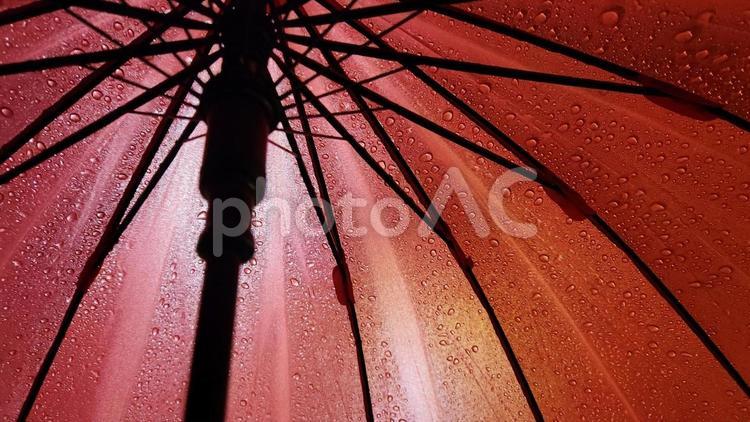 雨の日の赤い傘 傘,赤,雨の写真素材