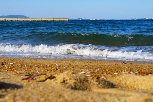 福岡県、シーサイドももち海浜公園31 風景,日本,九州の写真素材