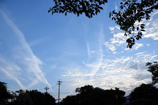 青空 青空の写真