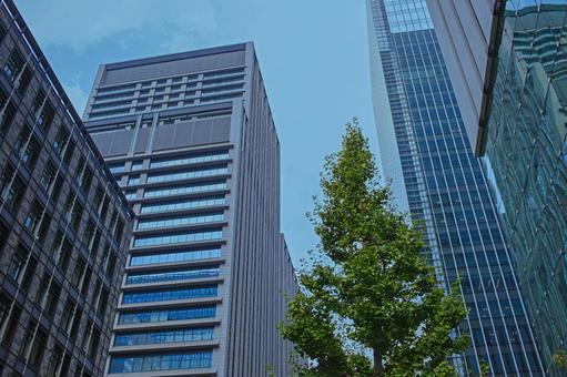高層ビル オフィス街 高層ビル オフィス街 ビル,ビジネス,仕事の写真素材