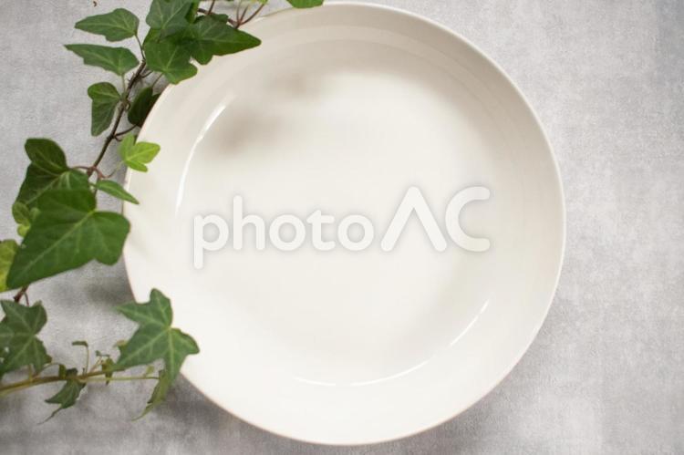 コンクリート背景の白いお皿と観葉植物 白,コンクリート,グレー背景の写真素材