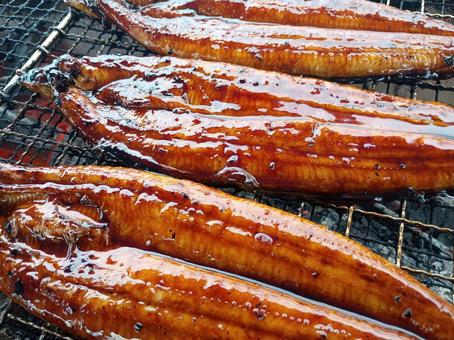 Grilled eel, JPG