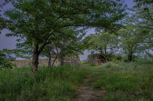 米子城 米子城 米子城跡,続日本100名城,城の写真素材