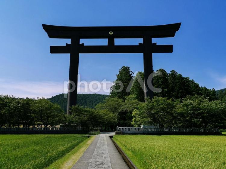 熊野本宮大社　参道と大鳥居 熊野本宮大社,熊野大社,一の鳥居の写真素材
