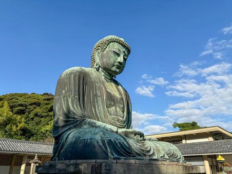 鎌倉大仏 鎌倉大仏 鎌倉,鎌倉大仏,長谷の写真素材