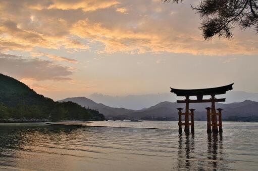 宮島：厳島神社・大鳥居・夕焼け 宮島,厳島神社,日本三景の写真素材