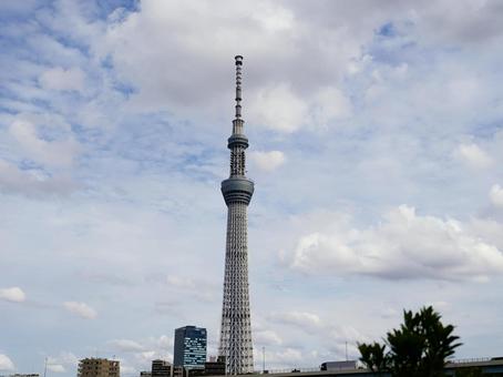 雲のかかる十間橋からスカイツリーを望む 雲のかかる十間橋からスカイツリーを望む スカイツリー,東京スカイツリー,東京の写真素材