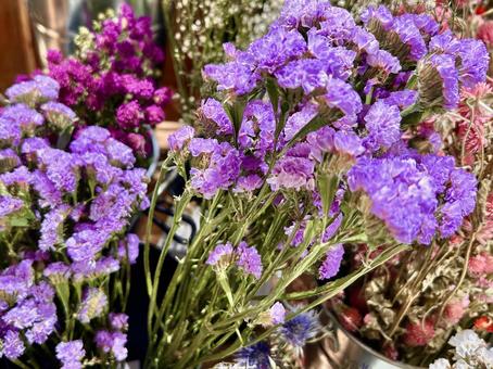 美しい紫色の小花 はな,ガーデン,小花の写真素材