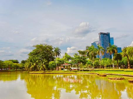 チャトチャック公園の池とヤシの木 チャトチャック公園の池とヤシの木 青空,空,南国の写真素材