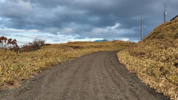砂浜に続く道 海岸,海,波の写真素材