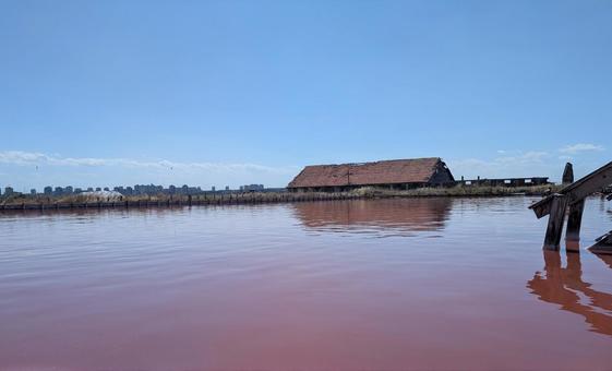 ソルニツィ ソルニツィの写真