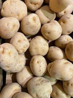 山積みジャガイモ 山積みジャガイモ ジャガイモ,野菜,根菜の写真素材